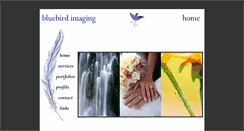 Desktop Screenshot of bluebirdimaging.com